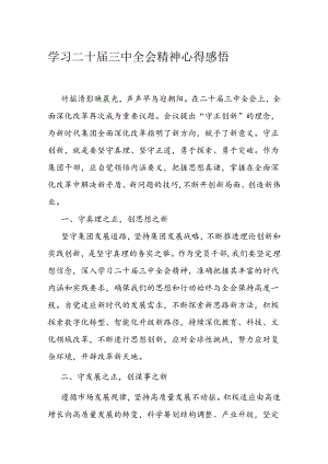 学习二十届三中全会精神心得感悟(4).docx