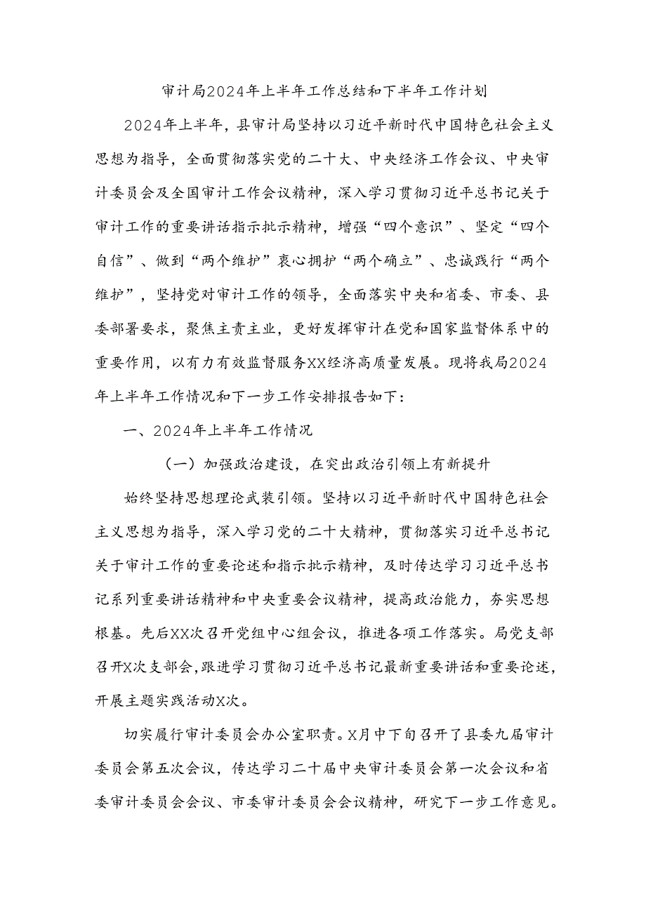 审计局2024年上半年工作总结和下半年工作计划.docx_第1页