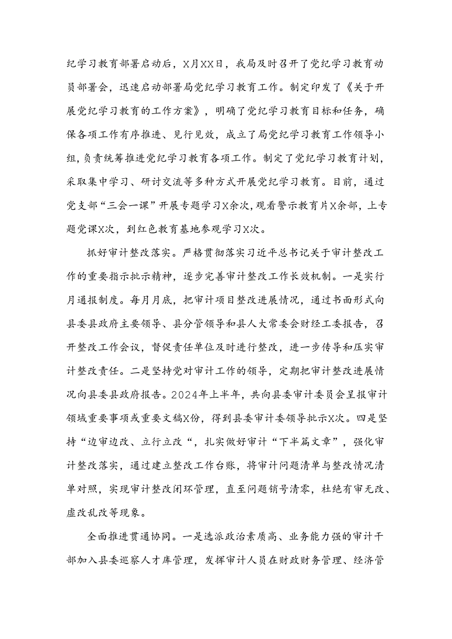 审计局2024年上半年工作总结和下半年工作计划.docx_第3页