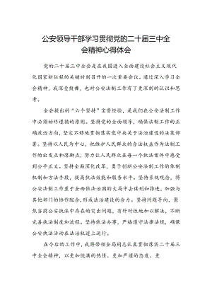 公安领导干部学习贯彻党的二十届三中全会精神心得体会 .docx
