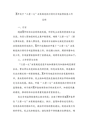 X市关于“三重一大”决策制度执行情况专项监督检查工作总结.docx