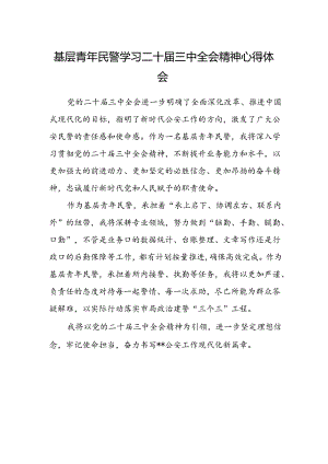 基层青年民警学习二十届三中全会精神心得体会.docx