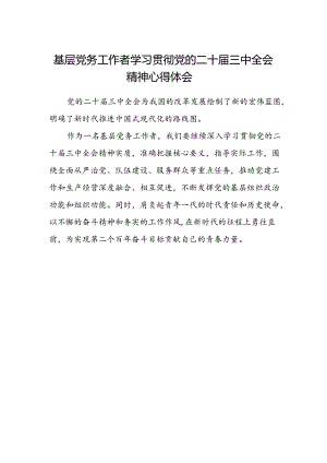 基层党务工作者学习贯彻党的二十届三中全会精神心得体会 .docx