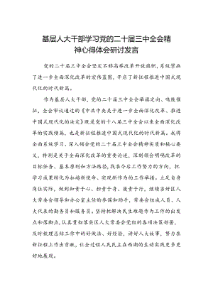 基层人大干部学习党的二十届三中全会精神心得体会研讨发言范文.docx