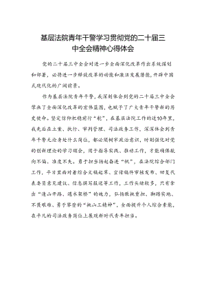 基层法院青年干警学习贯彻党的二十届三中全会精神心得体会.docx