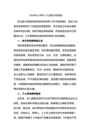 2024年上半年个人x性分析报告.docx