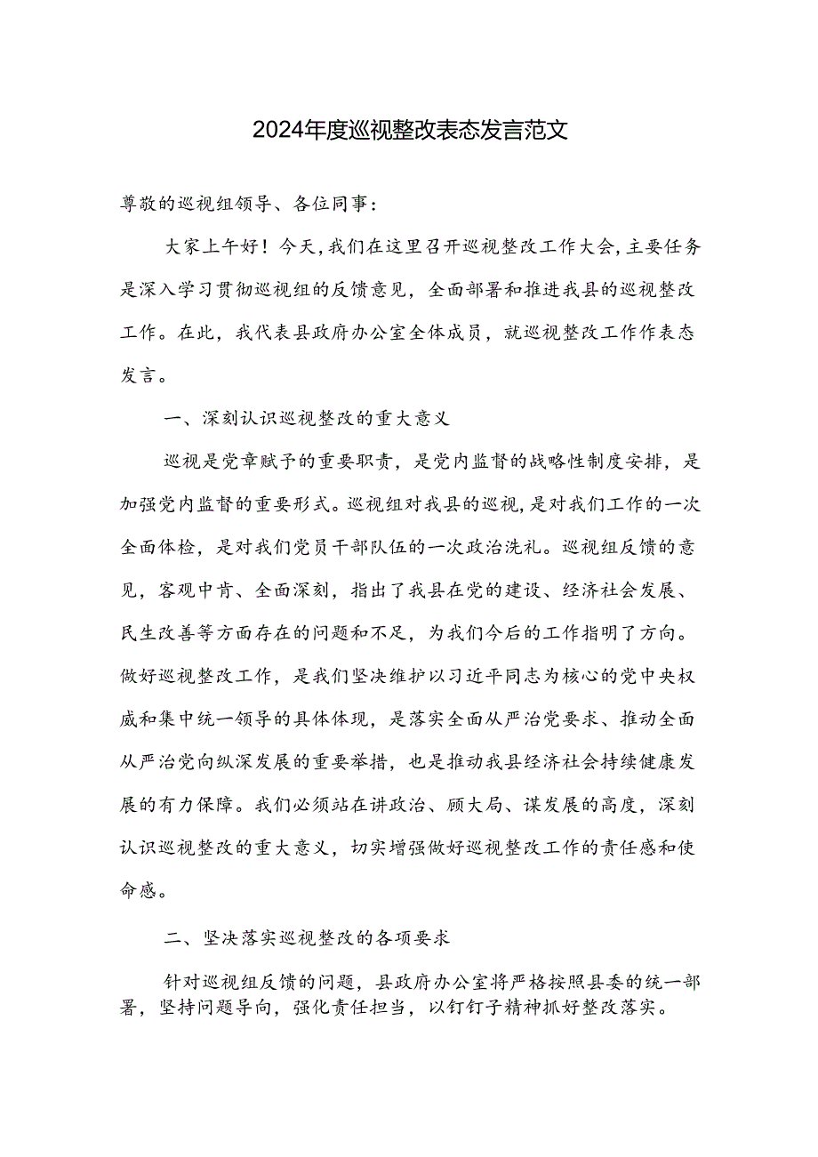2024年度巡视整改表态发言范文.docx_第1页
