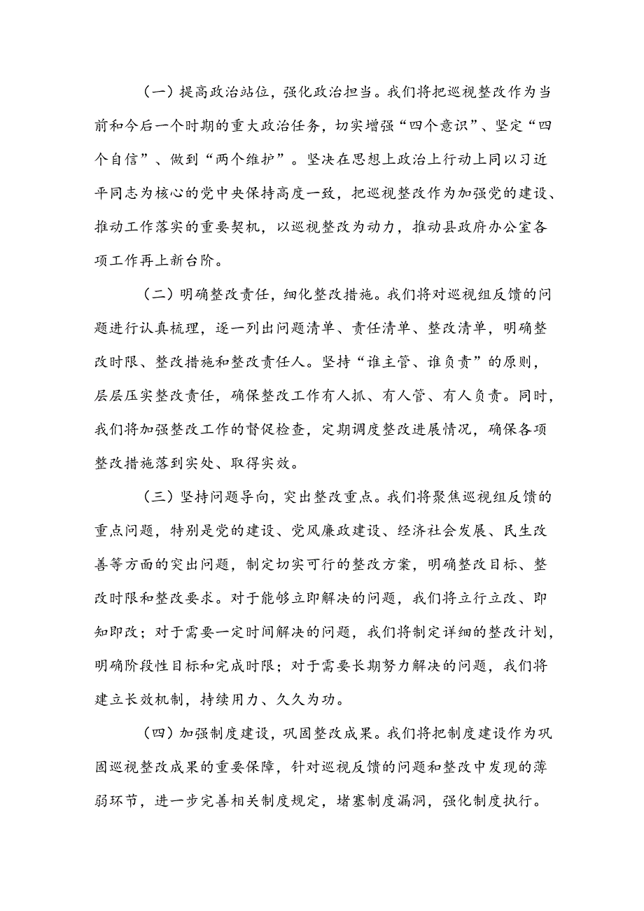 2024年度巡视整改表态发言范文.docx_第2页