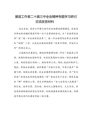 基层工作者二十届三中全会精神专题学习研讨交流发言材料.docx