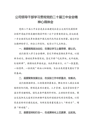 公司领导干部学习贯彻党的二十届三中全会精神心得体会.docx