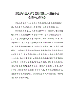 党组织负责人学习贯彻党的二十届三中全会精神心得体会.docx