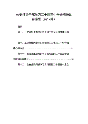 公安领导干部学习二十届三中全会精神体会感悟12篇（精选）.docx