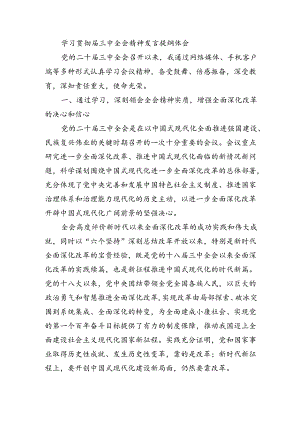 学习贯彻届三中全会精神发言提纲体会.docx