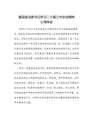 基层政法委书记学习二十届三中全会精神心得体会.docx