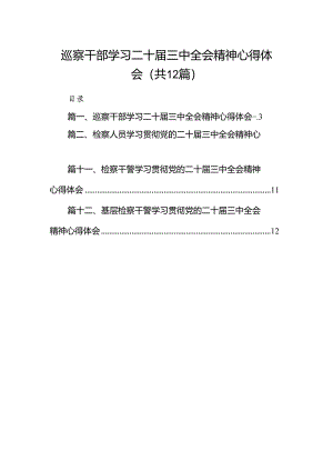 巡察干部学习二十届三中全会精神心得体会12篇专题资料.docx