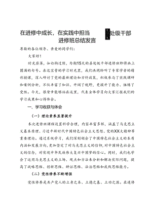 在进修中成长在实践中担当——县处级干部进修班总结发言.docx