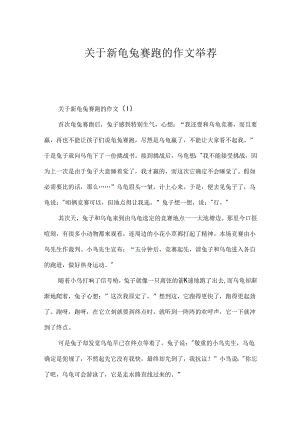 关于新龟兔赛跑的作文推荐.docx
