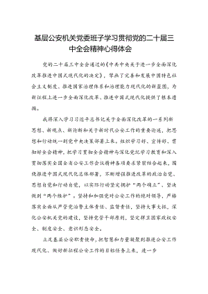 基层公安机关党委班子学习贯彻党的二十届三中全会精神心得体会.docx