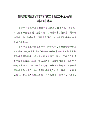 基层法院党员干部学习二十届三中全会精神心得体会.docx