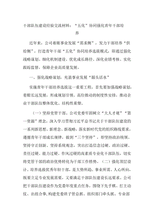 干部队伍建设经验交流材料：“五化”协同强化青年干部培.docx