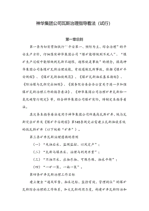 公司瓦斯治理指导意见(试行).docx