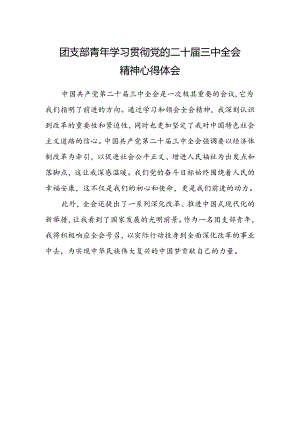 团支部青年学习贯彻党的二十届三中全会精神心得体会.docx