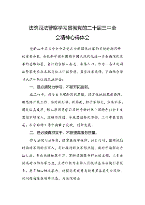 法院司法警察学习贯彻党的二十届三中全会精神心得体会.docx