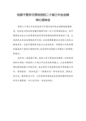 检察干警学习贯彻党的二十届三中全会精神心得体会最新.docx