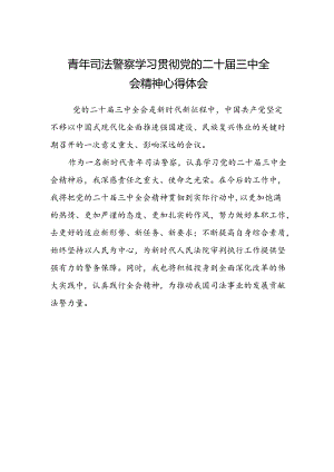 青年司法警察学习贯彻党的二十届三中全会精神心得体会.docx