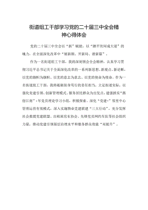 街道组工干部学习党的二十届三中全会精神心得体会.docx