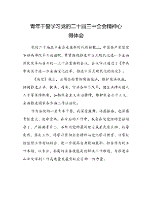 青年干警学习党的二十届三中全会精神心得体会.docx