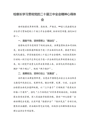 检察长学习贯彻党的二十届三中全会精神心得体会范文.docx