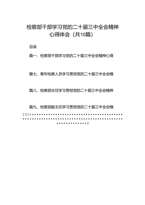 检察部干部学习党的二十届三中全会精神心得体会十篇（精选）.docx