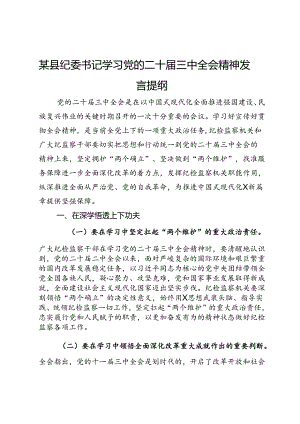 某县纪委书记学习党的二十届三中全会精神发言提纲.docx