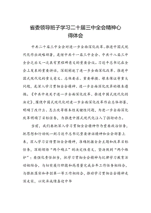 省委领导班子学习二十届三中全会精神心得体会.docx