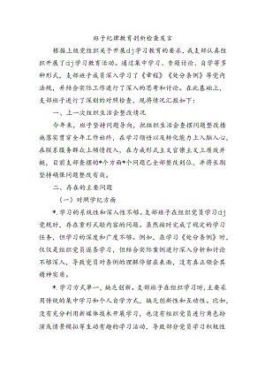 班子纪律教育剖析检查发言.docx