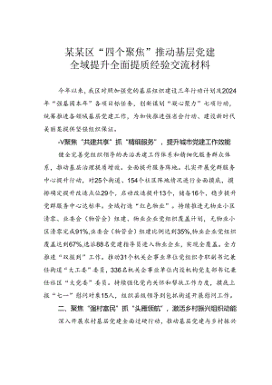 某某区“四个聚焦”推动基层党建全域提升全面提质经验交流材料.docx