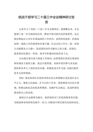 统战干部学习二十届三中全会精神研讨发言 .docx