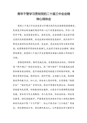 青年干警学习贯彻党的二十届三中全会精神心得体会.docx