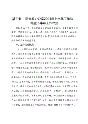 某工业园区党政办公室2024年上半年工作总结暨下半年工作举措.docx