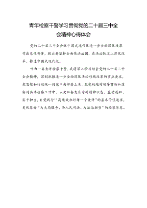 青年检察干警学习贯彻党的二十届三中全会精神心得体会范文 .docx