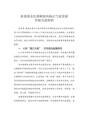 某某国企纪委树清风扬正气促发展经验交流材料.docx