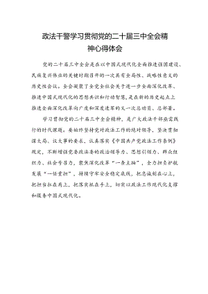 政法干警学习贯彻党的二十届三中全会精神心得体会范文.docx
