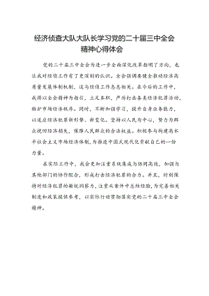 经济侦查大队大队长学习党的二十届三中全会精神心得体会.docx
