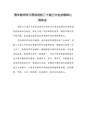 青年教师学习贯彻党的二十届三中全会精神心得体会.docx