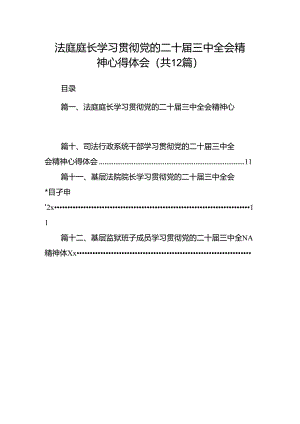 法庭庭长学习贯彻党的二十届三中全会精神心得体会12篇（最新版）.docx
