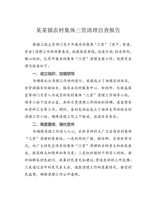 某某镇农村集体三资清理自查报告.docx