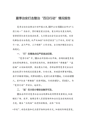 派出所2024年“夏季行动”工作总结报告6篇.docx
