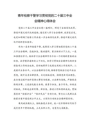 青年检察干警学习贯彻党的二十届三中全会精神心得体会.docx