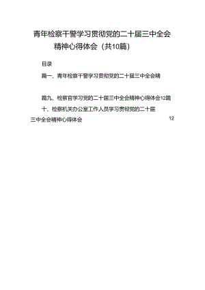 青年检察干警学习贯彻党的二十届三中全会精神心得体会(10篇集合).docx